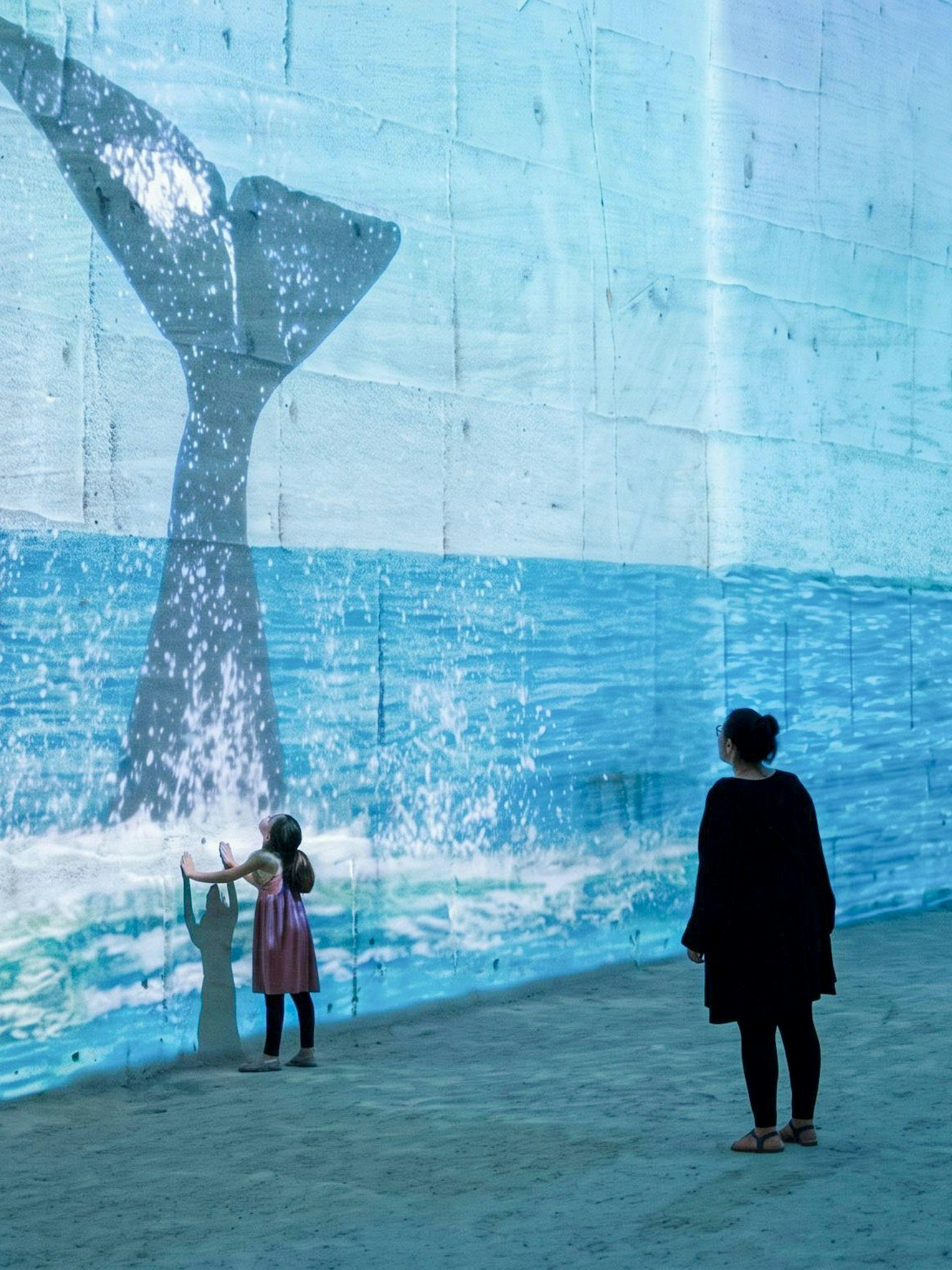 Visitors viewing whale tail projection at Carrières des Lumières Ocean exhibit.