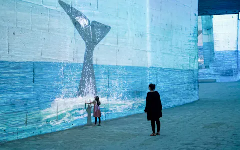 Bassins des Lumières Tickets: Immersive Art Experiences
