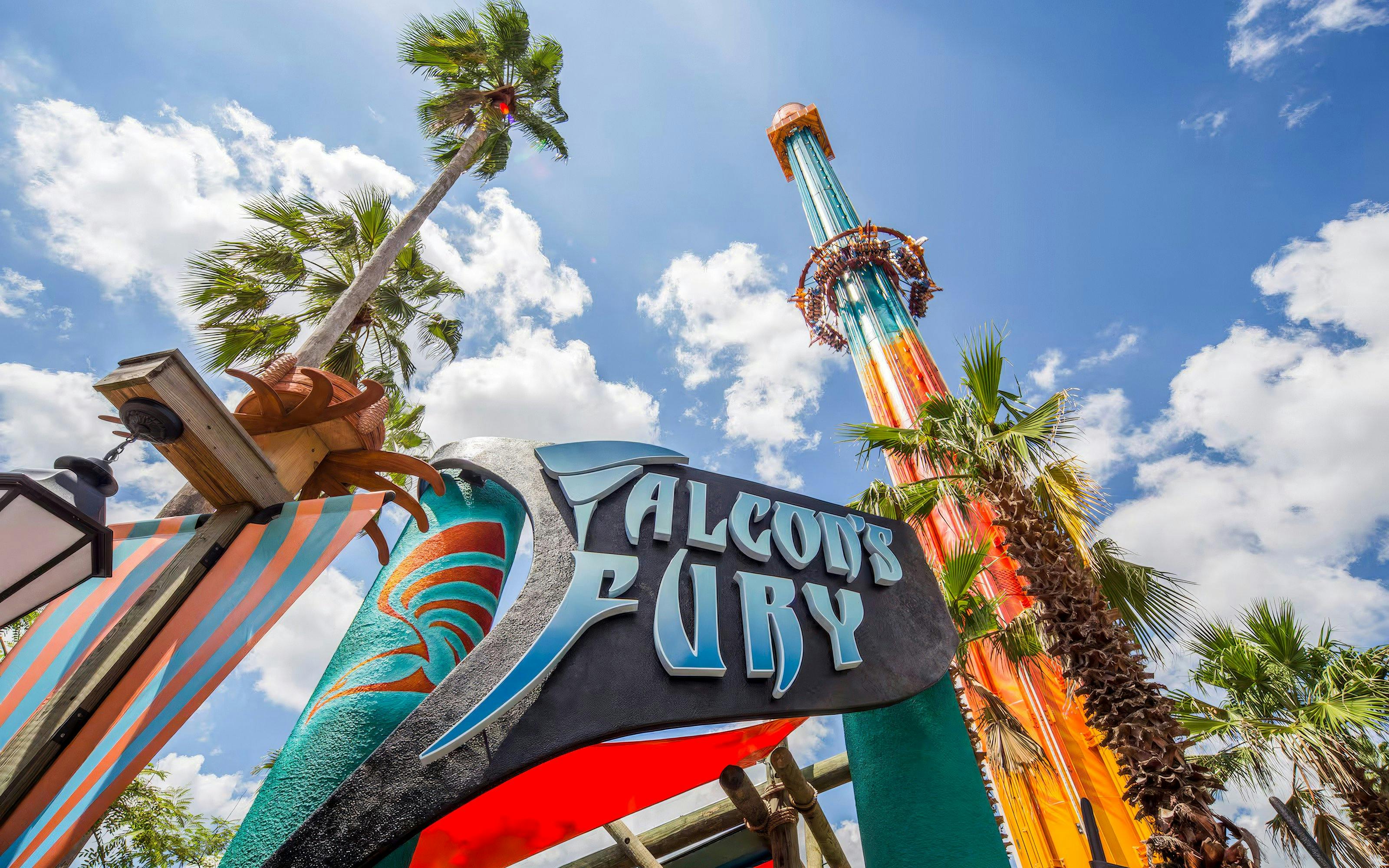 Falcon's Fury ride at Busch Gardens Tampa with palm trees and blue sky.