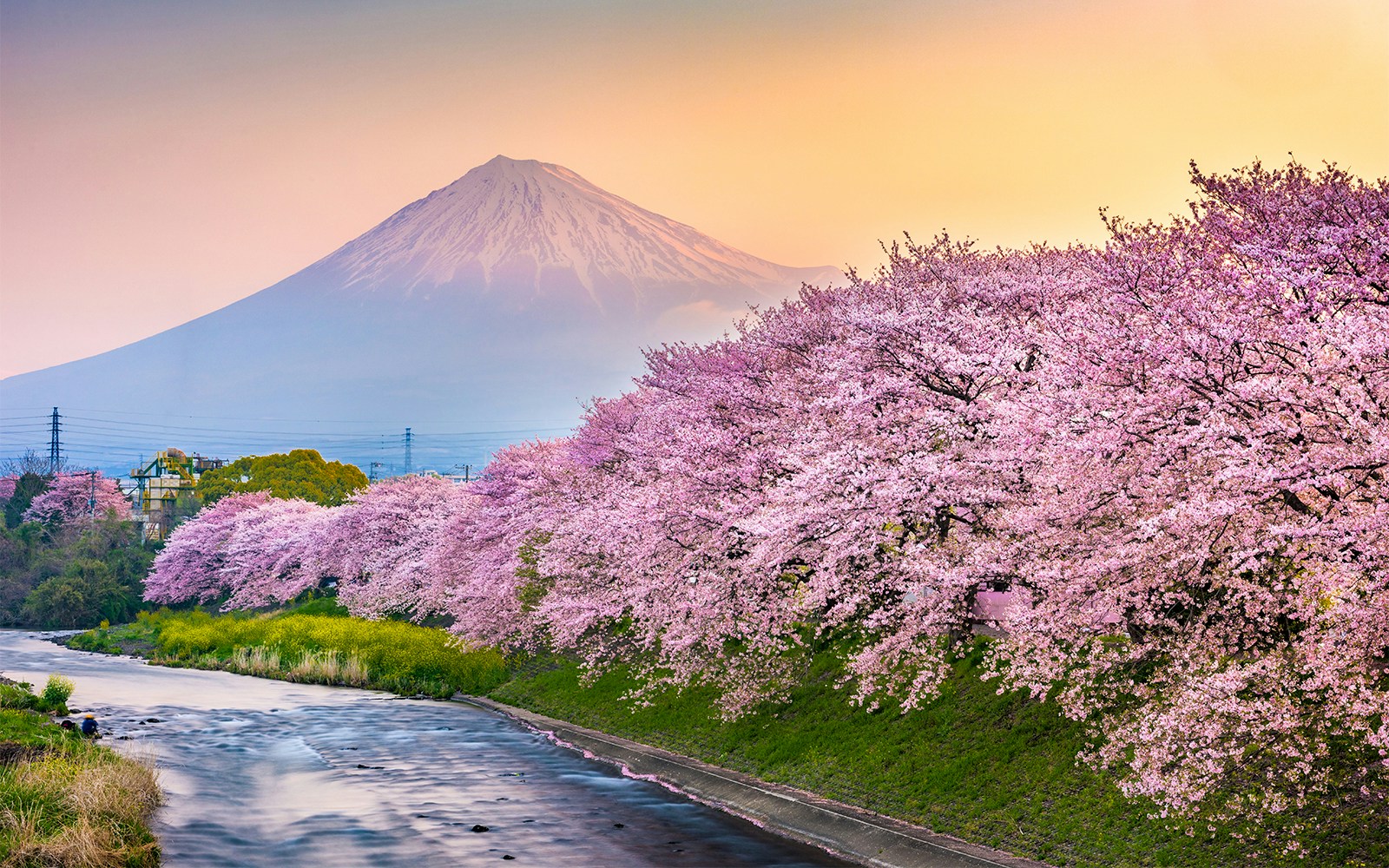 Mount Fuji view from Fujinomiya 5th Station with tourists exploring the scenic area.