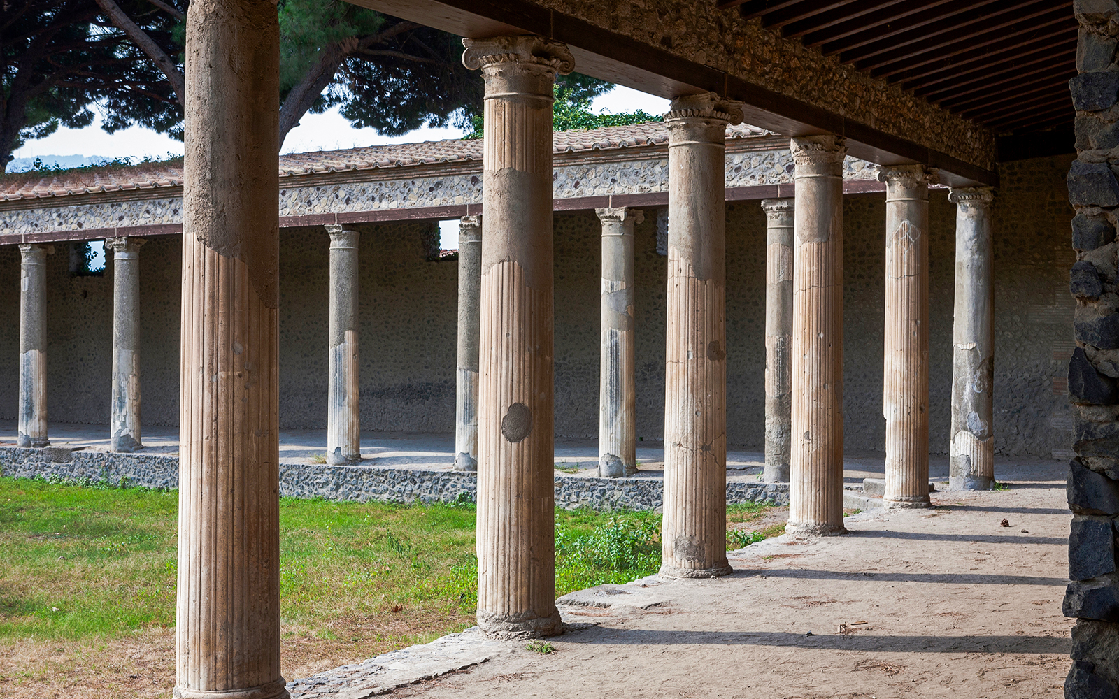 Pompeii Gymnasium History