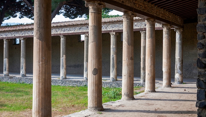Pompeii Gymnasium History
