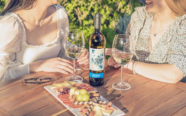 Wine tasting with charcuterie at a vineyard in Queretaro during Peña de Bernal tour.