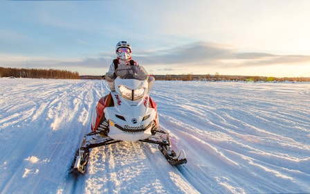 Rovaniemi: Guided Snowmobile Safari