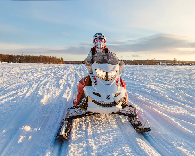 Rovaniemi: Guided Snowmobile Safari