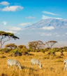 Parque Nacional de Amboseli