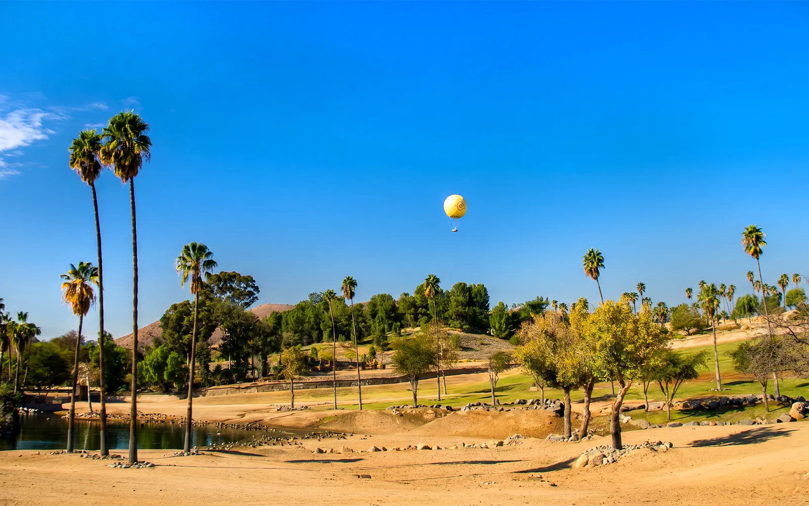 Hot air balloon over landscape at San Diego Zoo Safari Park.
