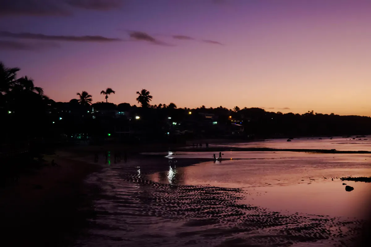 Evening view of Pipa Village beach with palm trees and reflections, Sao Paulo nightlife tour.