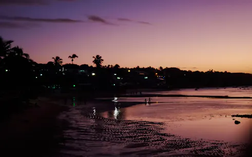 Evening view of Pipa Village beach with palm trees and reflections, Sao Paulo nightlife tour.