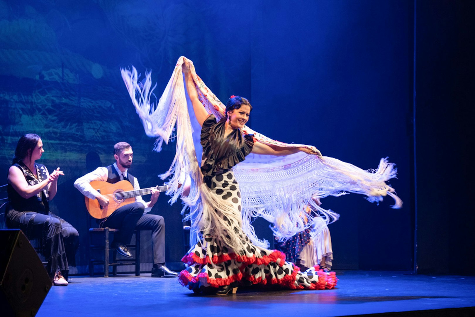 Flamenco dancer performing with musicians at Teatro Flamenco Barcelona.