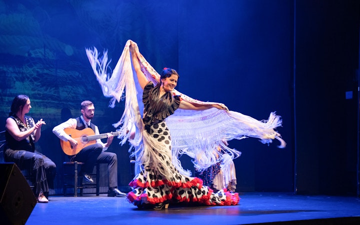 Flamenco dancer performing with musicians at Teatro Flamenco Barcelona.