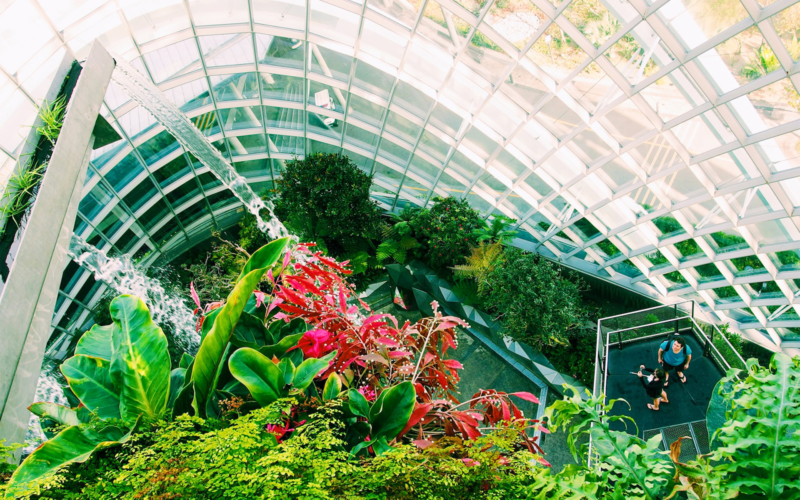 events in gardens by the bay