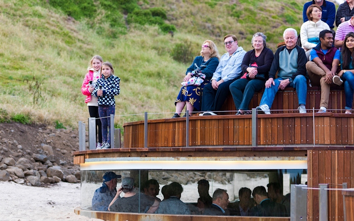 Visitors seated at Phillip Island Nature Parks viewing area for Penguin Parade.