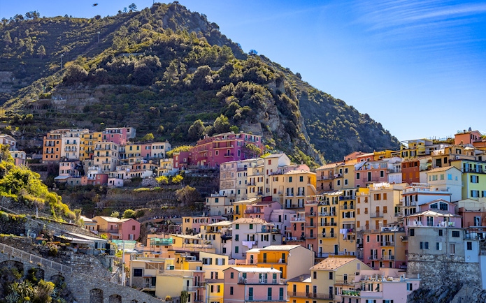 Colorful hillside houses in Manarola, Cinque Terre, Italy, with lush greenery and clear blue sky.