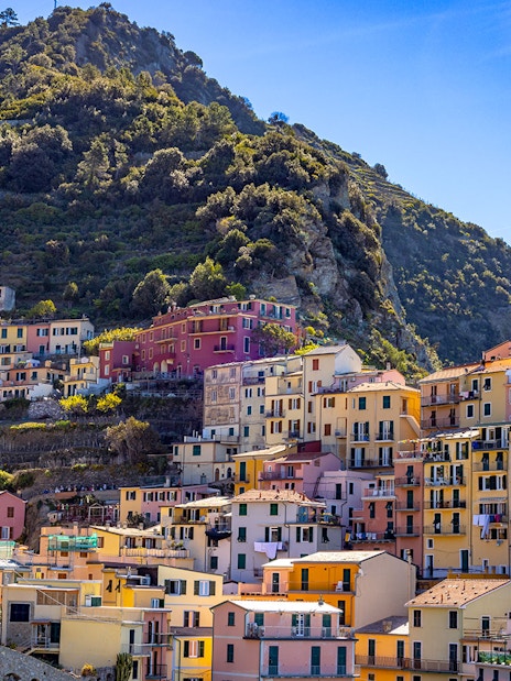 Colorful hillside houses in Manarola, Cinque Terre, Italy, with lush greenery and clear blue sky.