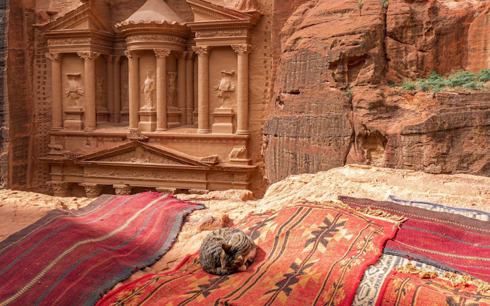 Petra's Treasury with colorful rugs and a resting cat in Jordan.