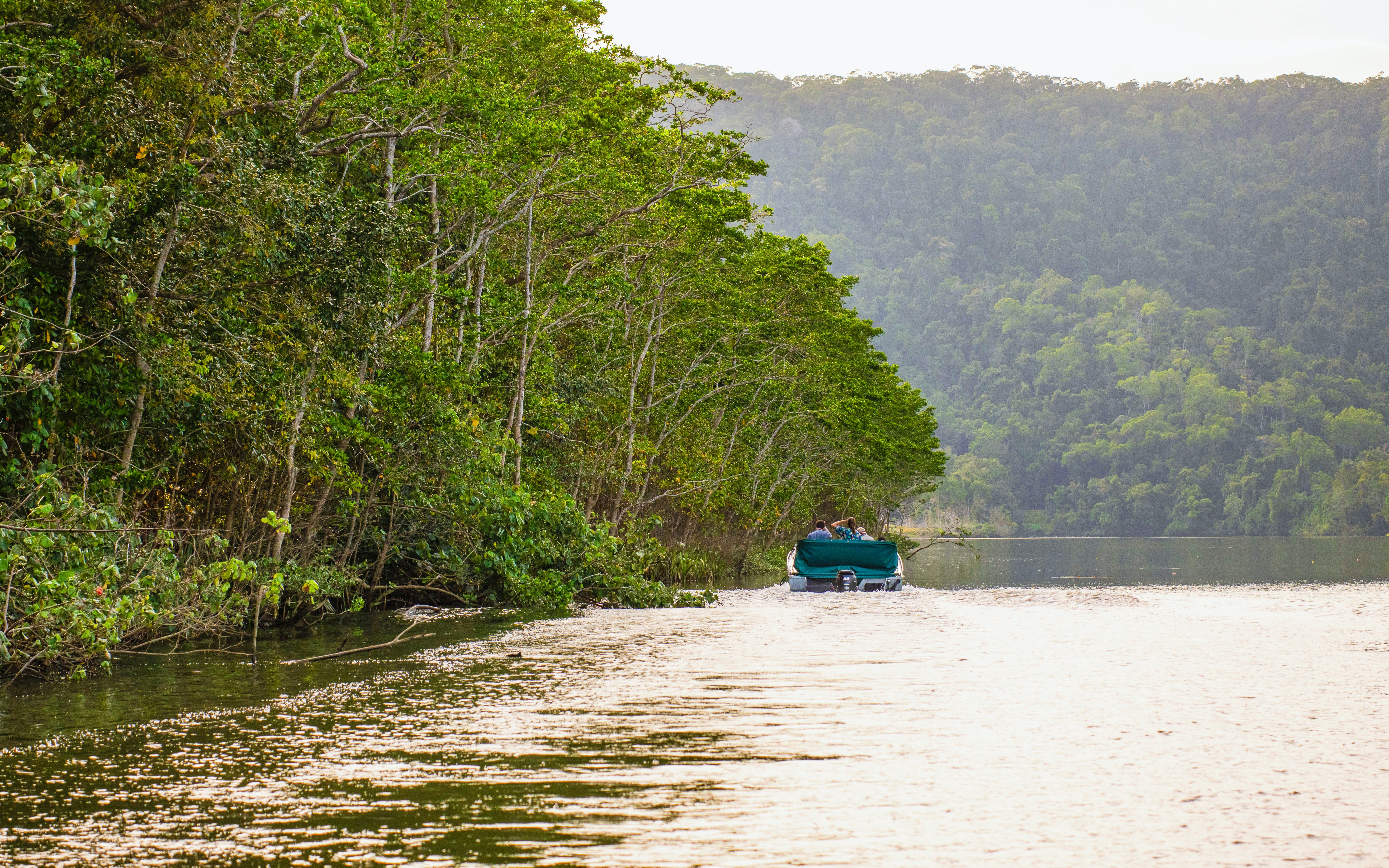 Boat cruising along the Daintree River surrounded by lush rainforest.