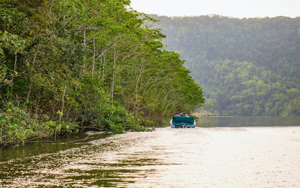 Boat cruising along the Daintree River surrounded by lush rainforest.