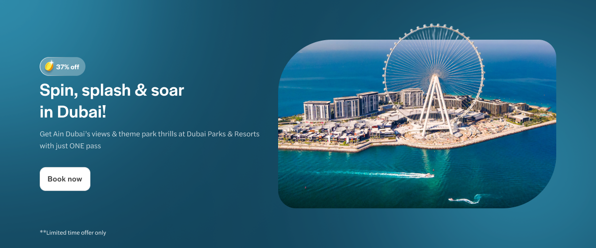 Ain Dubai Ferris wheel overlooking waterfront and cityscape.