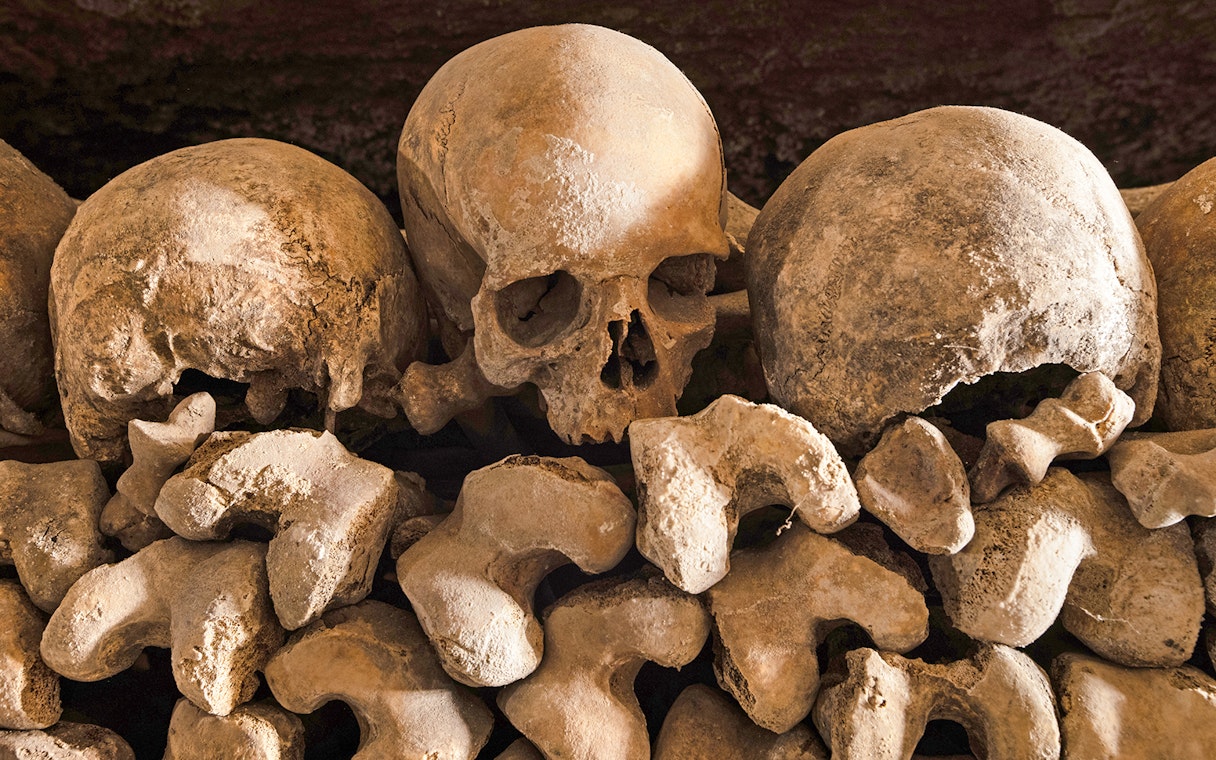 Skulls and bones stacked in the Paris Catacombs.