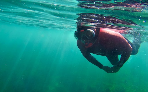 Snorkeler exploring underwater in Arrábida Natural Park.