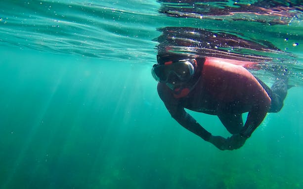 Snorkeler exploring underwater in Arrábida Natural Park.