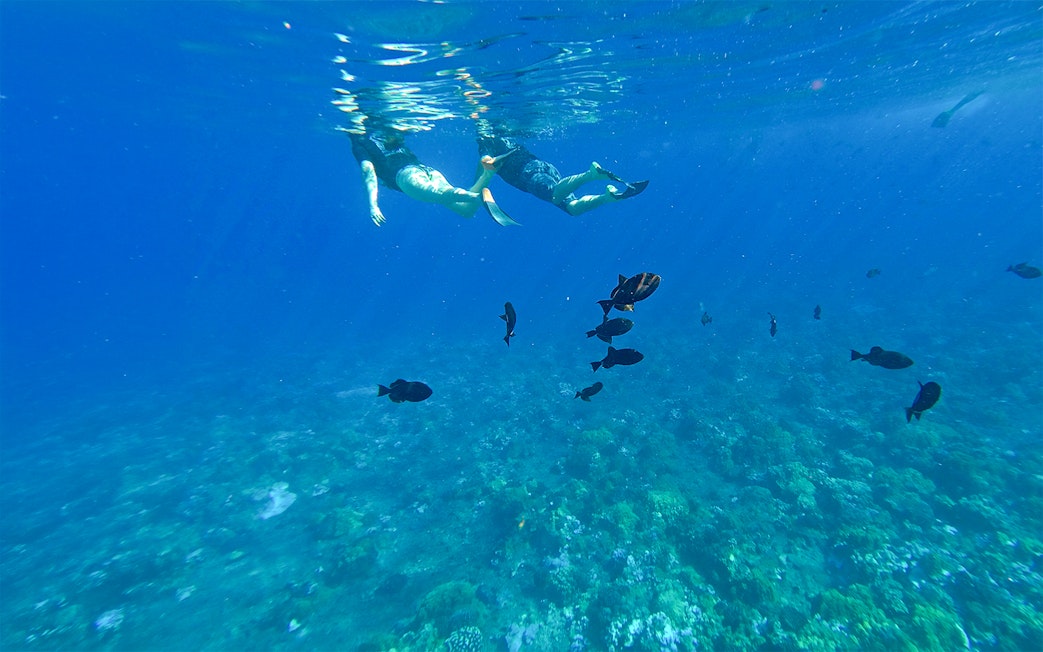 Snorkelers observing fish at Molokini & Turtle Arches, Maui, Hawaii.