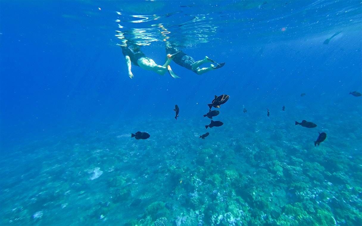 Snorkelers observing fish at Molokini & Turtle Arches, Maui, Hawaii.