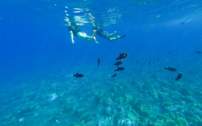Snorkelers observing fish at Molokini & Turtle Arches, Maui, Hawaii.