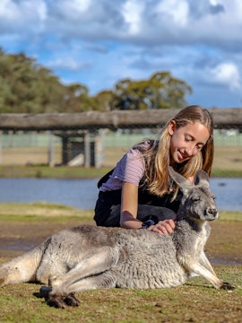Girl petting a kangaroo at a wildlife park in Sydney during school holiday special.
