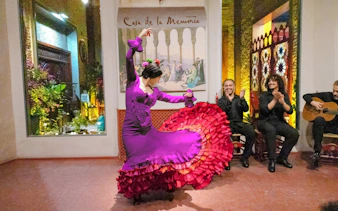 Flamenco dancer performing at Tablao Casa de la Memoria, Seville.