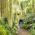 Royal Botanic Garden Edinburgh