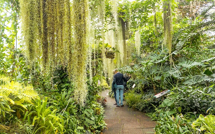 Visitors walking through lush greenery inside the Royal Botanic Gardens.
