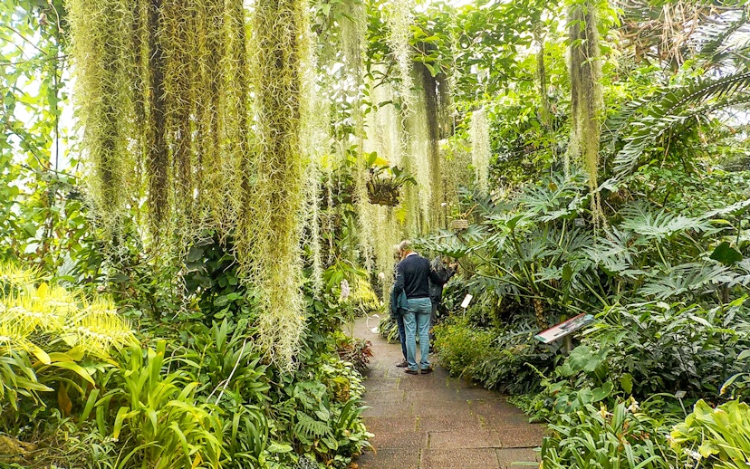 Visitors walking through lush greenery inside the Royal Botanic Gardens.