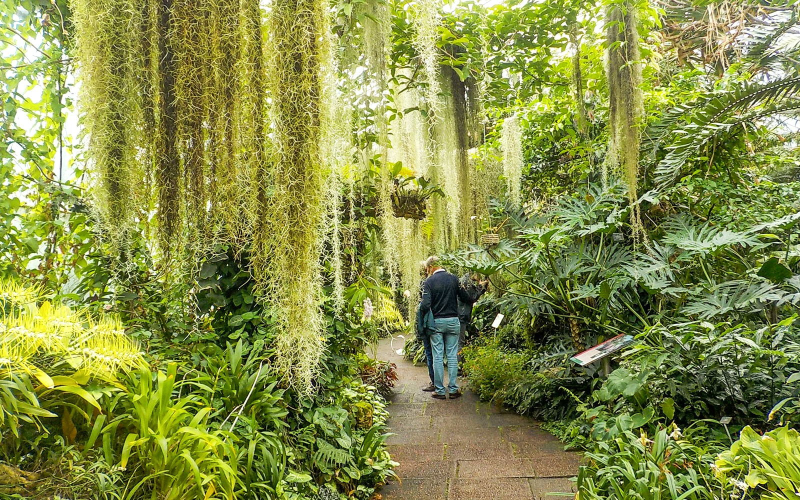 Visitors walking through lush greenery inside the Royal Botanic Gardens.