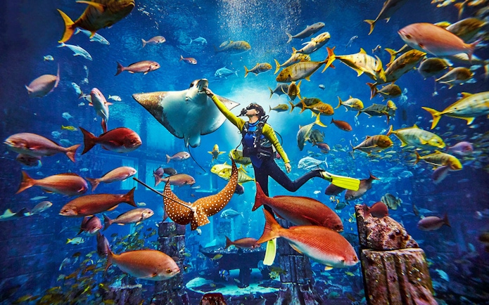 Tourist snorkeling with fish and stingrays at Atlantis aquarium.