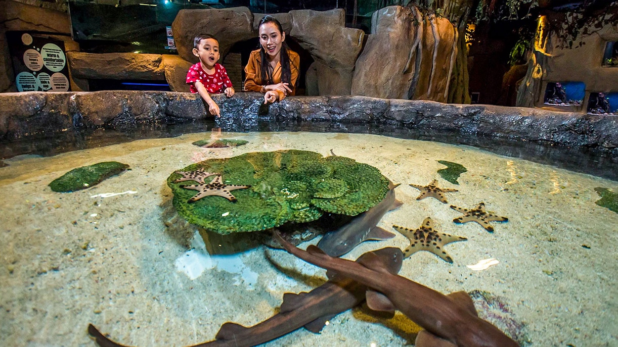 Petronas Twin Towers tickets - Nearby