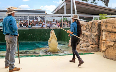 Handlers feeding a jumping crocodile at Crocosaurus Cove, Darwin, with spectators watching.