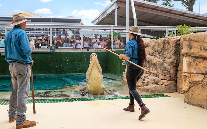Handlers feeding a jumping crocodile at Crocosaurus Cove, Darwin, with spectators watching.