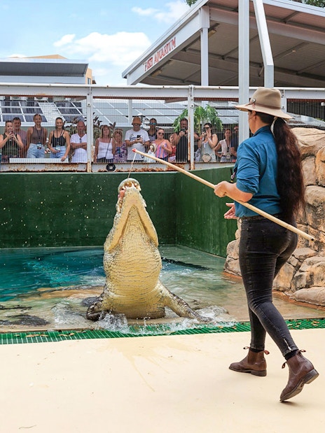 Handlers feeding a jumping crocodile at Crocosaurus Cove, Darwin, with spectators watching.