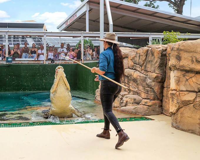 Crocosaurus Cove Tickets