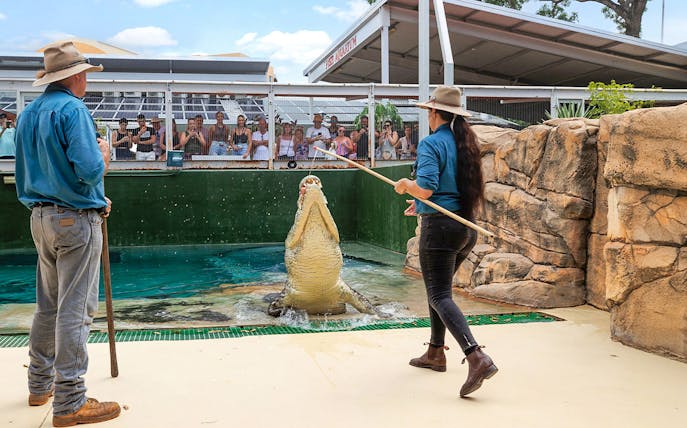 Handlers feeding a jumping crocodile at Crocosaurus Cove, Darwin, with spectators watching.