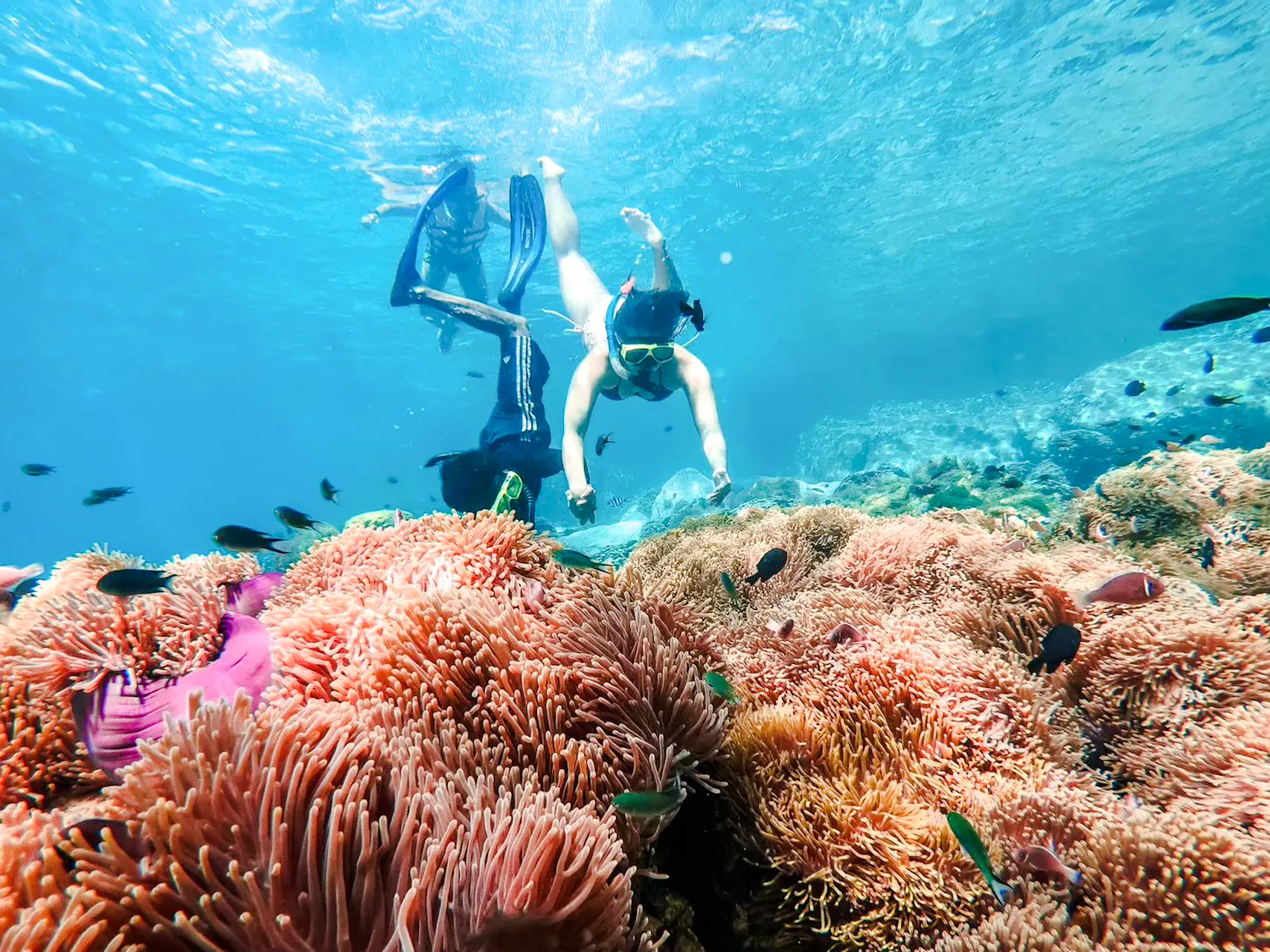 Koh Chang 3 or 4-Island Big Boat Snorkeling Tour with Lunch