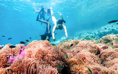 Koh Chang 3 or 4-Island Big Boat Snorkeling Tour with Lunch