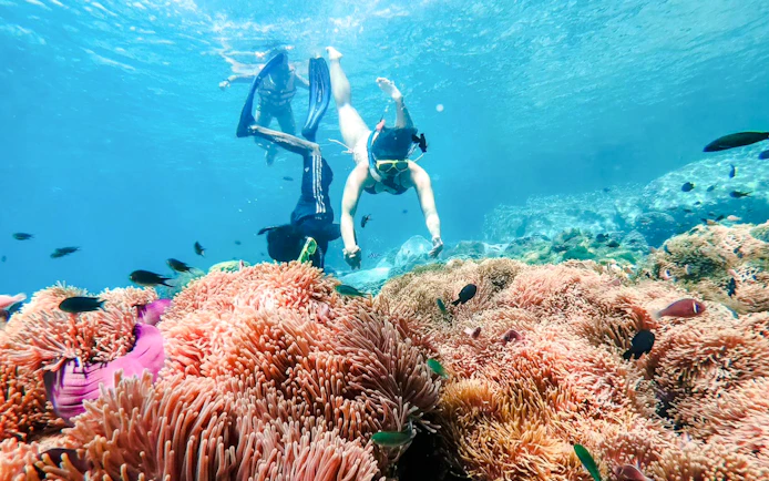 Koh Chang 3 or 4-Island Big Boat Snorkeling Tour with Lunch