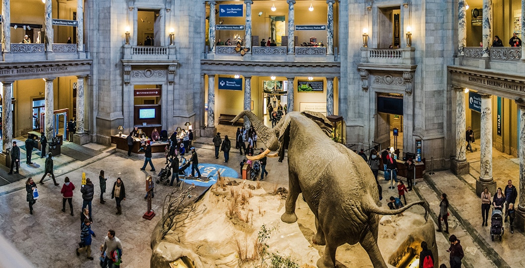 Smithsonian National Museum of Natural History rotunda with elephant exhibit and visitors.