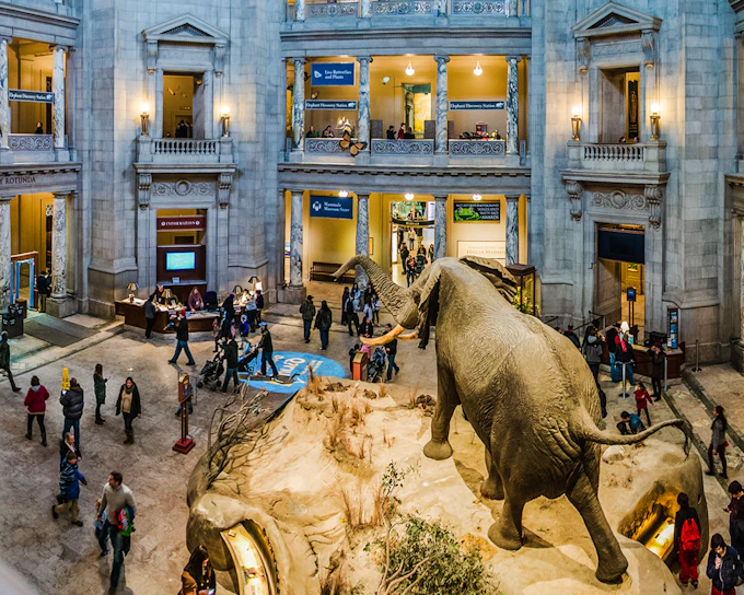 Smithsonian National Museum of Natural History Tours