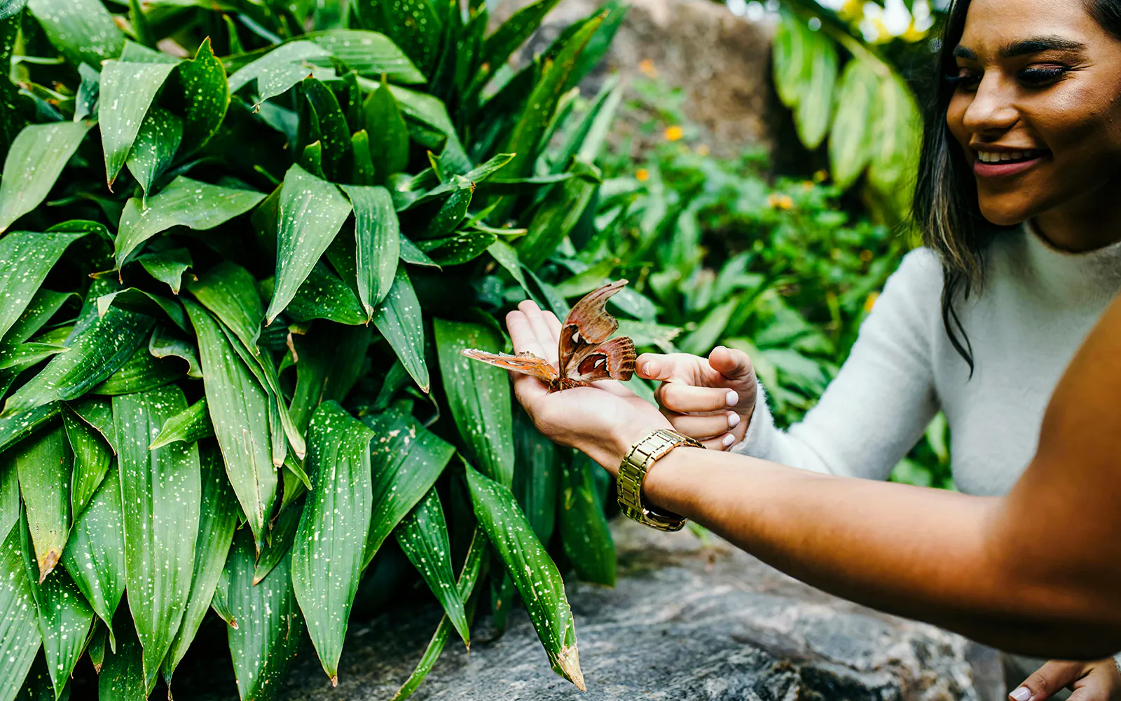 Person holding a butterfly at Niagara Falls Butterfly Conservatory, Canada.