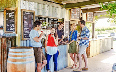 Group enjoying wine tasting at a vineyard bar in Swan Valley.