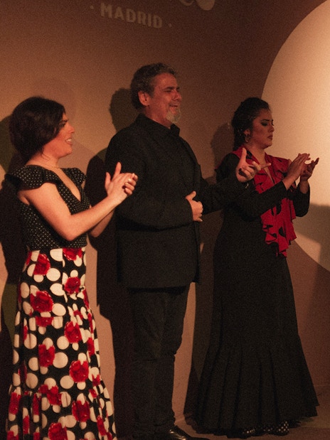 Flamenco performers on stage during Tardes de Tablao Flamenco in Madrid.